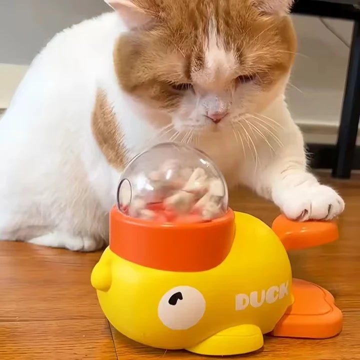 Interactive Pet Feeder
