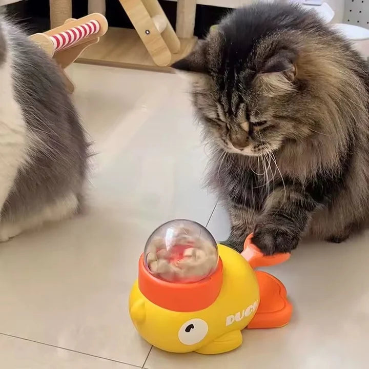 Interactive Pet Feeder